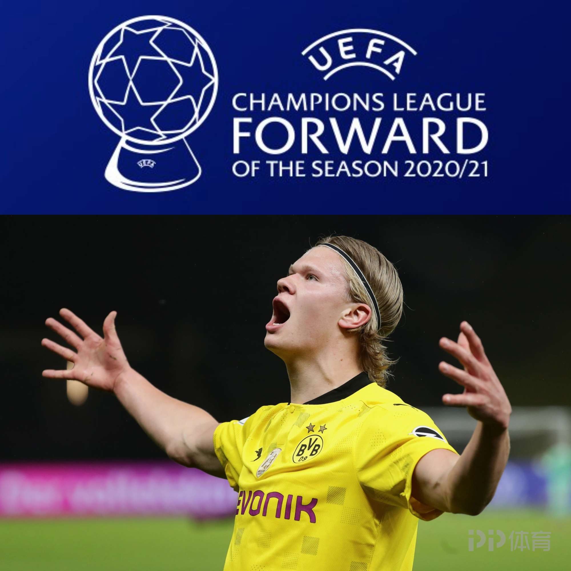 绫球好玩有讲究